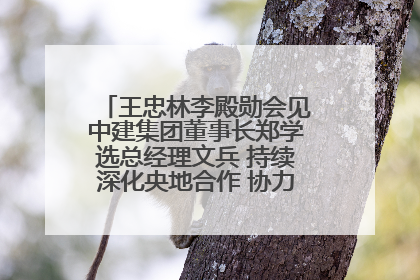 王忠林李殿勋会见中建集团董事长郑学选总经理文兵 持续深化央地合作 协力推动支点建设